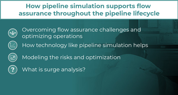 Pipeline simulation and flow assurance summary image