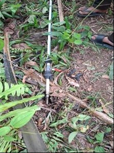 An illegal tapping point coming out of the ground. It's surrounded by foliage